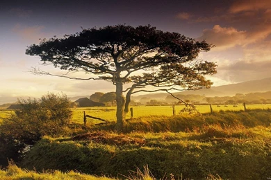 Nature Wallpapers HD 1920×1080 Wallpapers With Photo Of Nature ...