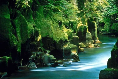 Nature Wallpapers HD 1920×1080 Great With Image Of Nature ...