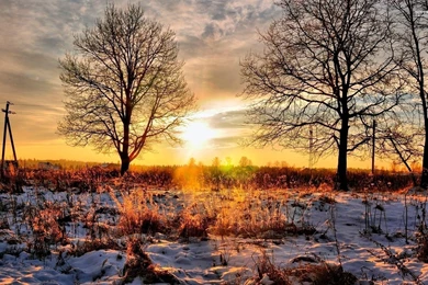 Nature Wallpapers   Wallpapers With Nature In All Resolutions