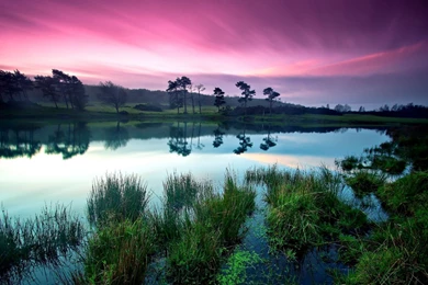 Stunning Nature Wallpapers