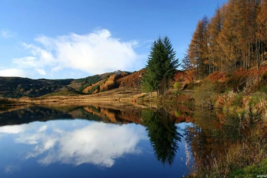 30 Best Nature Wallpapers