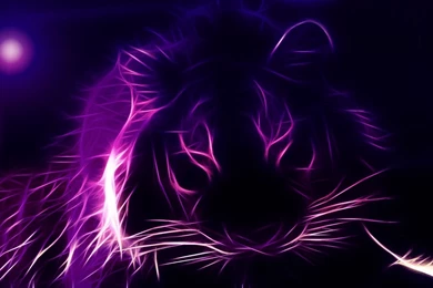 Cool Purple Wallpapers