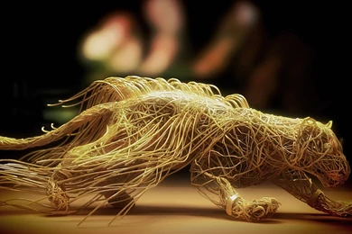 PC Wallpapers Download