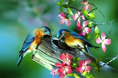 Spring Wallpapers And Screensavers 54951 Desktop Wallpapers