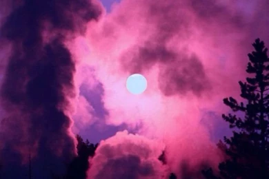 It Could Be A Cool Backgrounds For Your Device