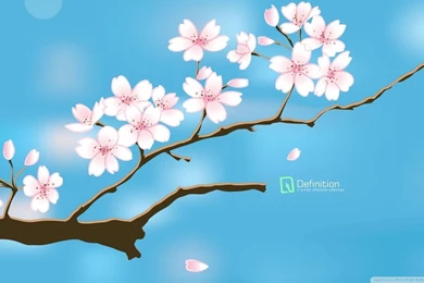 Free 3D Wallpapers Download: Eye Of Spring Wallpaper, Free Spring ...