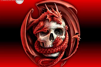 Awesome Skull Backgrounds