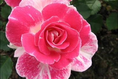 Saving Money On Free Spring Wallpapers: Autumn By Free Download ...