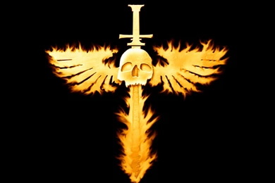 Cool Skull   Wallpapers, Images, Pictures, Pics