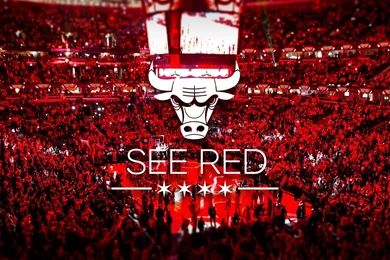 Good Chicago Bulls Wallpapers