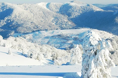 Snowy Mountain Top Wallpapers   Nature Wallpapers