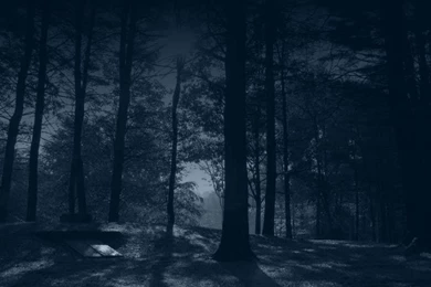 Dark Wood HD Wallpapers 7.jpg