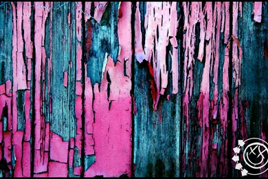 Blink 182 Smiley Wallpapers Widescreen 2560x160