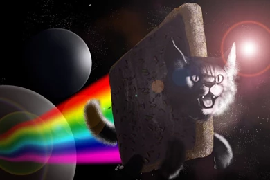 Nyan Cat Flying Away From The Planet Wallpapers   Meme Wallpapers ...