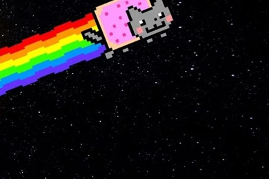 iPhone 4S, 4 Nyan Cat Wallpapers HD, Desktop Backgrounds 640x960