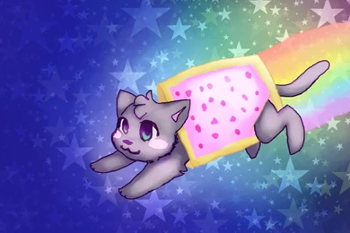 Nyan Cat By Me11ochan On DeviantArt