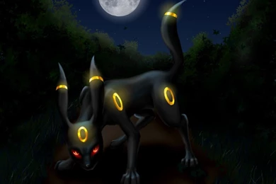Umbreon Wallpapers   Umbreon Photo (6054464)   Fanpop