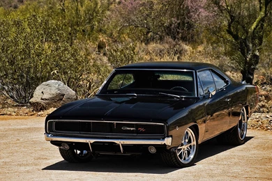 Muscle Car Wallpaper_car Wallpaper_download Free Wallpapers