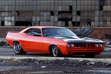 COOL MUSCLE CARS WALLPAPER WALF1002