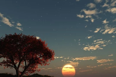 Vue 6 Render, Vertical Resolutions, 3d Wallpaper Backgrounds ...