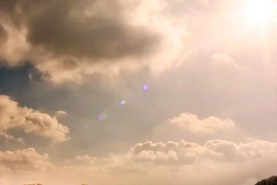 Wallpapers Vertical 1