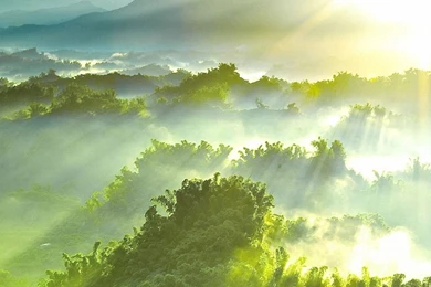 HD iPhone 6 Wallpapers And 1080P iPhone 6 Plus Wallpapers