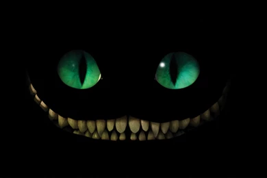 Alice: Madness Returns HD Wallpapers And Backgrounds