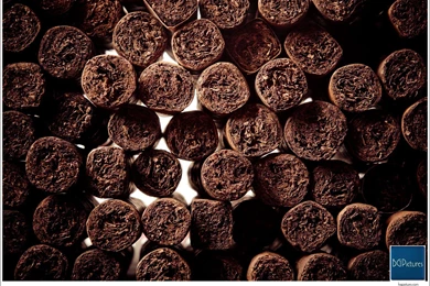 Cigar Art   Cigar Wall   CigarObsession   The Best Cigar Review Videos