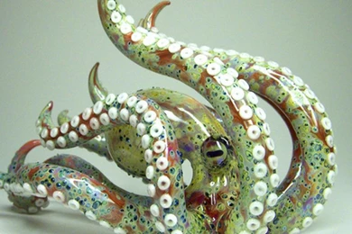 OCTOPUS WALLPAPER   (