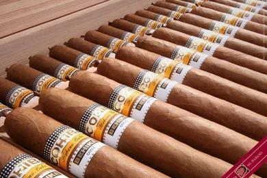 The Museum Of The Habano (the Havana Cigar): A Temple Devoted To ...