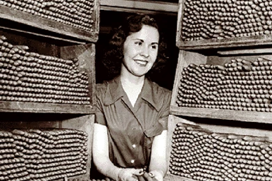 Whisky Room, Cigar Wallpapers 5