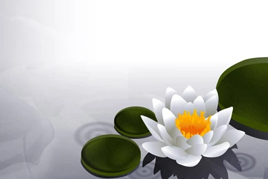 Lotus Wallpapers By Brontosaurus On DeviantArt