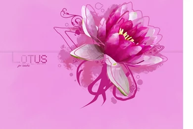 Lotus Wallpapers By UberzErO On DeviantArt