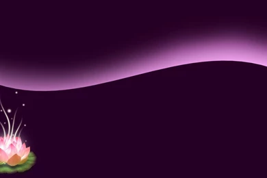 Lotus Wallpapers By Nbones On DeviantArt