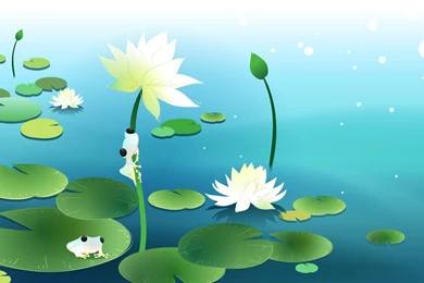 Small Frogs On Lotus Wallpapers   Digital Art Wallpapers