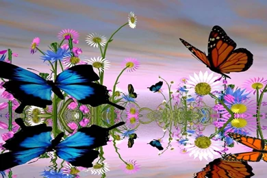 Fantastic Butterfly Animated Wallpapers Http://www.desktopanimated ...