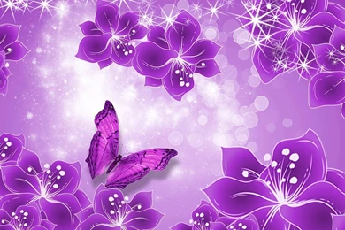 Butterfly Wallpaper_hd Wallpaper_download Free Wallpapers