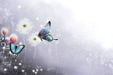 Butterfly Wallpapers For Computer