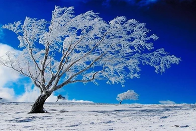 Nature Winter HD Desktop Wallpapers