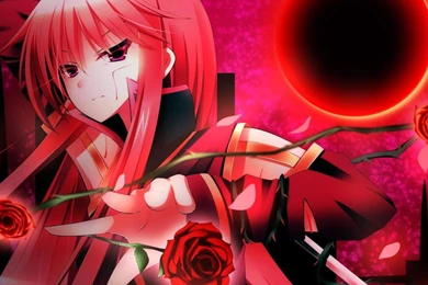 BLOODY ROSE WALLPAPER   (