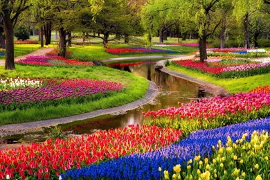 Flower Garden Wallpapers