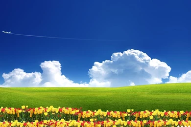 Beautiful Summer Garden Wallpapers HD 1080p For Desktop