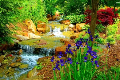 Small Stream In The Flower Garden Wallpapers