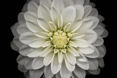 25 HD Retina Wallpapers Collection Of iPhone 6 Plus