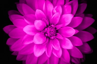 Wondershare] 26 Awesome Wallpapers For iPhone 6s/6/5s/5