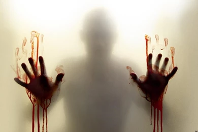 Ipad Wallpapers Walking Dead   Wallpapers