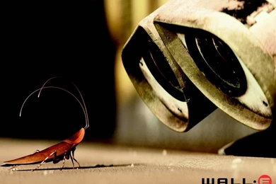 WALL E   WALL E Wallpapers (2782914)   Fanpop