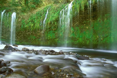 Great World Wallpaper: Desktop Wallpapers Free Download For PC