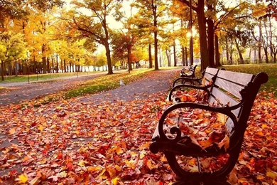 Desktop Backgrounds For Fall   All Wallpapers New
