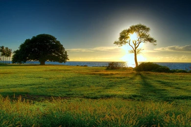 30+ Exclusive Collection Of Nature Wallpapers Hd